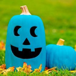 Food-Free Finds to Fill Up Those Teal Pumpkins